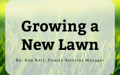 Growing a New Lawn