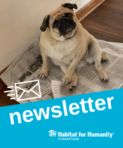 Newsletter Dog